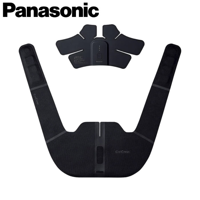 Panasonic 國際牌 高周波按摩器 EW-RA550