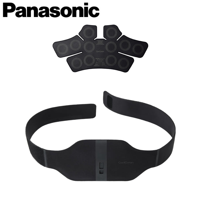 Panasonic 國際牌 高周波按摩器 EW-RA550