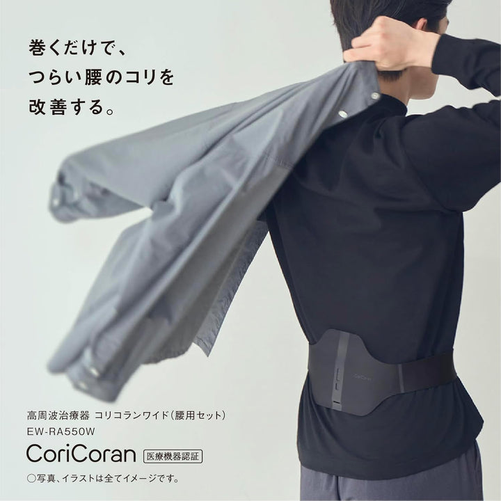 Panasonic 國際牌 高周波按摩器 EW-RA550