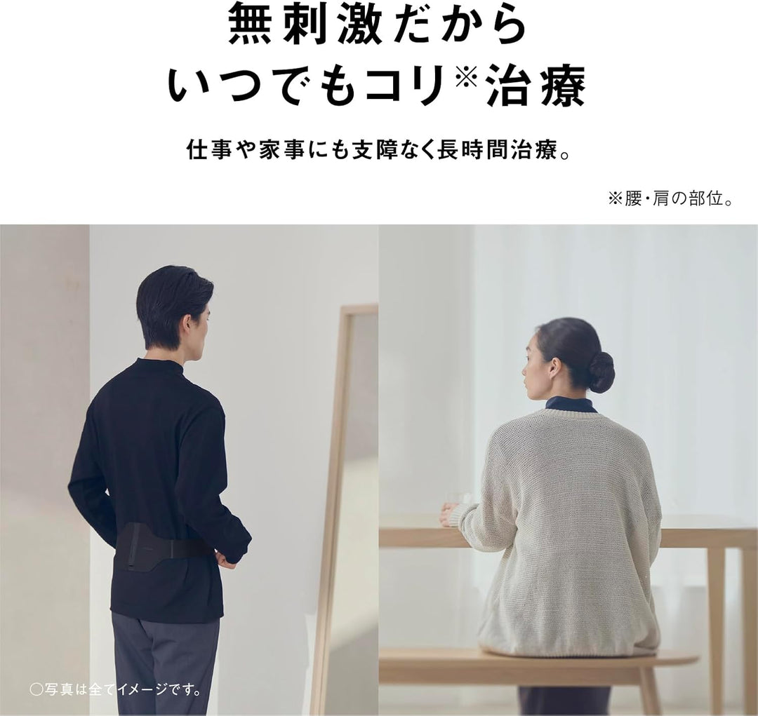 Panasonic 國際牌 高周波按摩器 EW-RA550