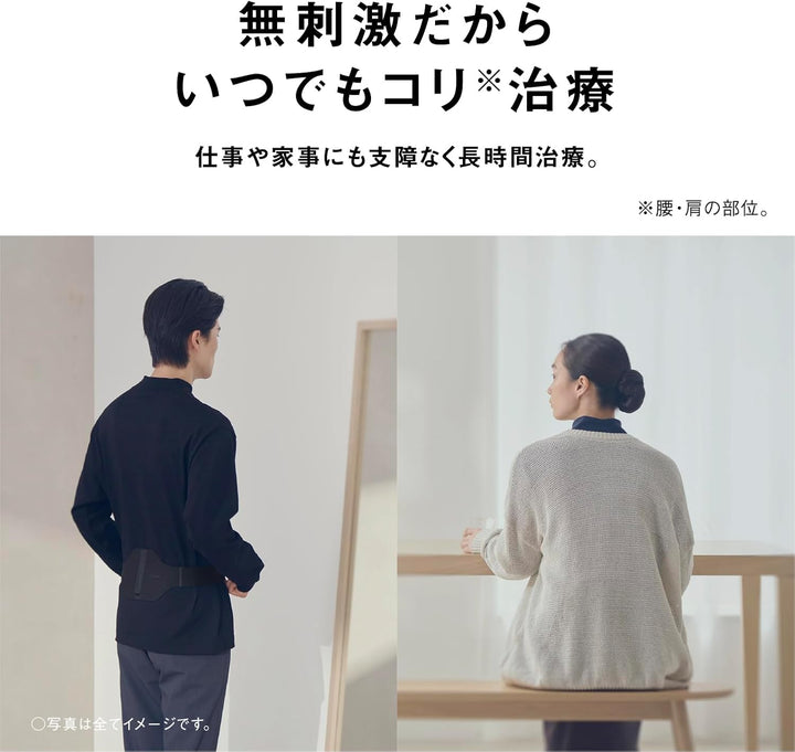 Panasonic 國際牌 高周波按摩器 EW-RA550