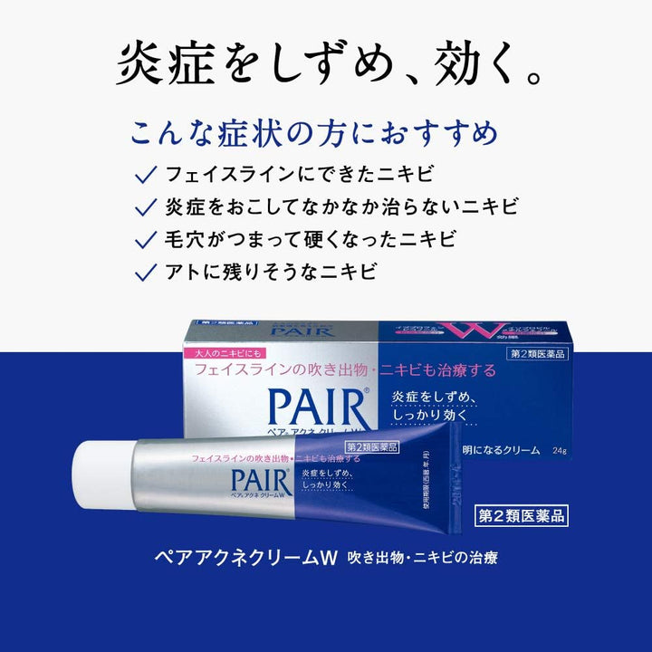LION 獅王 PAIR ACNE 痘痘軟膏W 24g