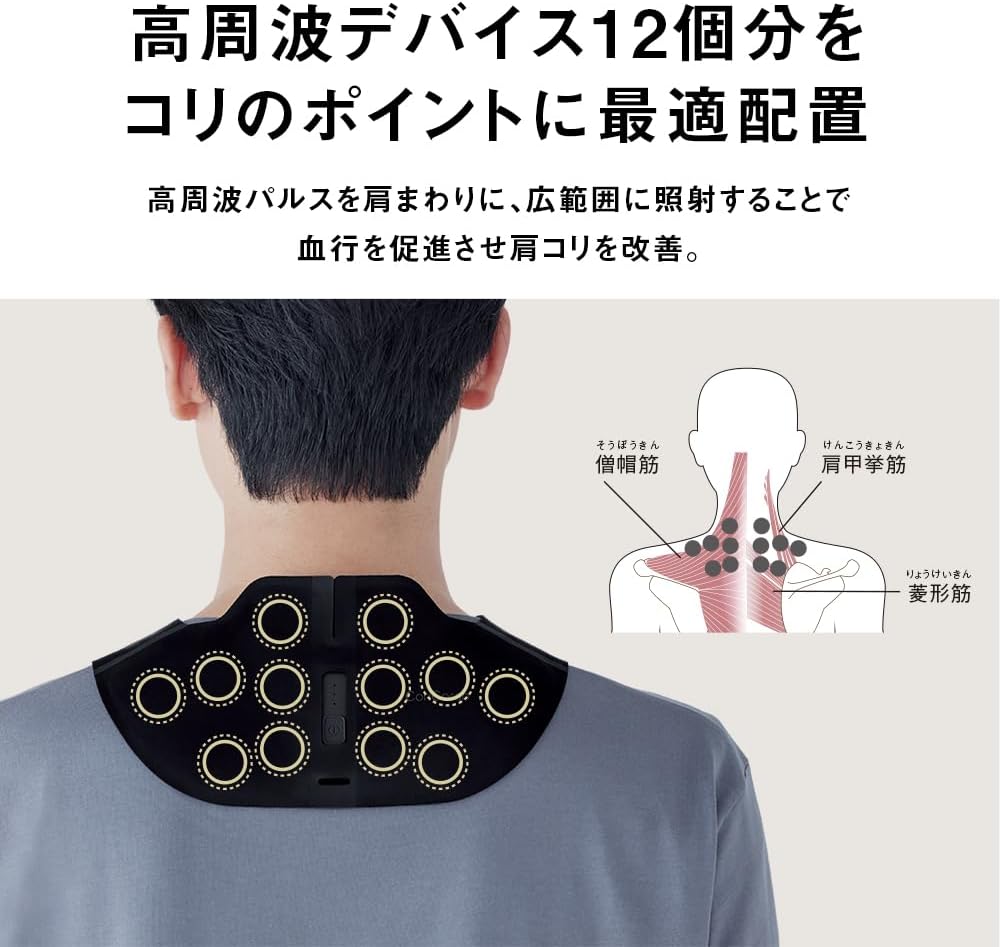 Panasonic 國際牌 高周波按摩器 EW-RA550