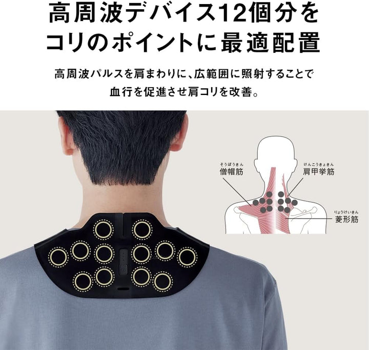 Panasonic 國際牌 高周波按摩器 EW-RA550