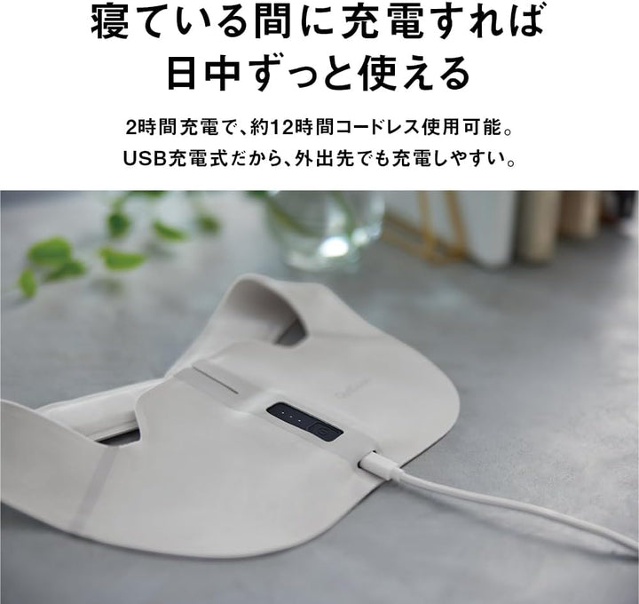 Panasonic 國際牌 高周波按摩器 EW-RA550