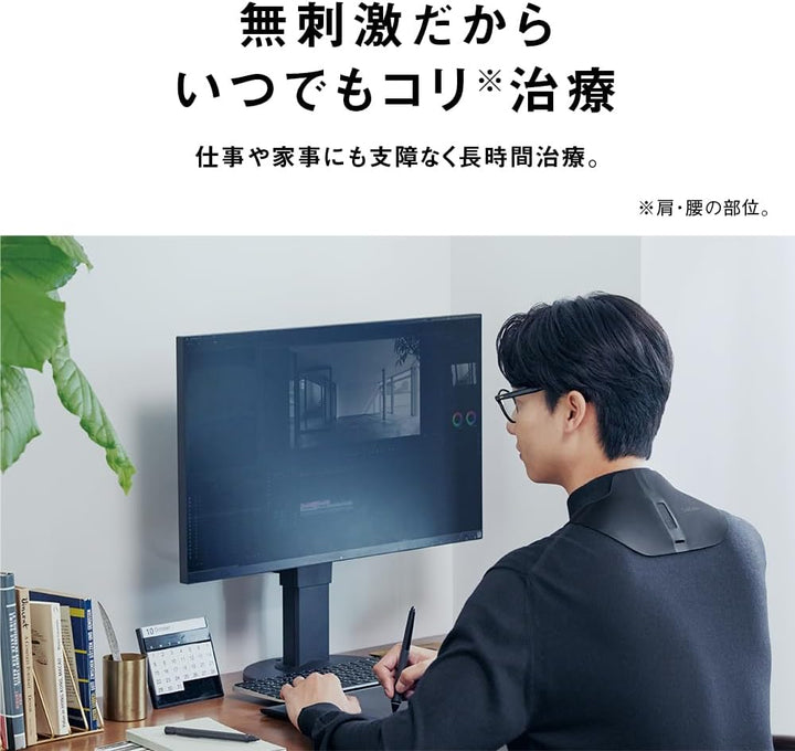 Panasonic 國際牌 高周波按摩器 EW-RA550