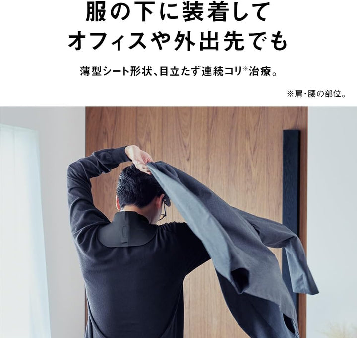 Panasonic 國際牌 高周波按摩器 EW-RA550