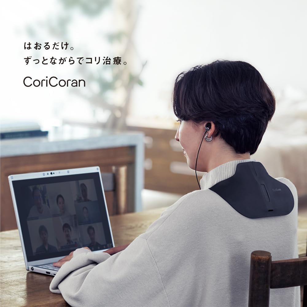 Panasonic 國際牌 高周波按摩器 EW-RA550