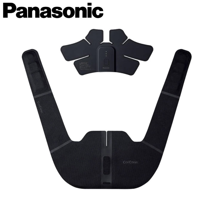 Panasonic 國際牌 高周波按摩器 EW-RA550