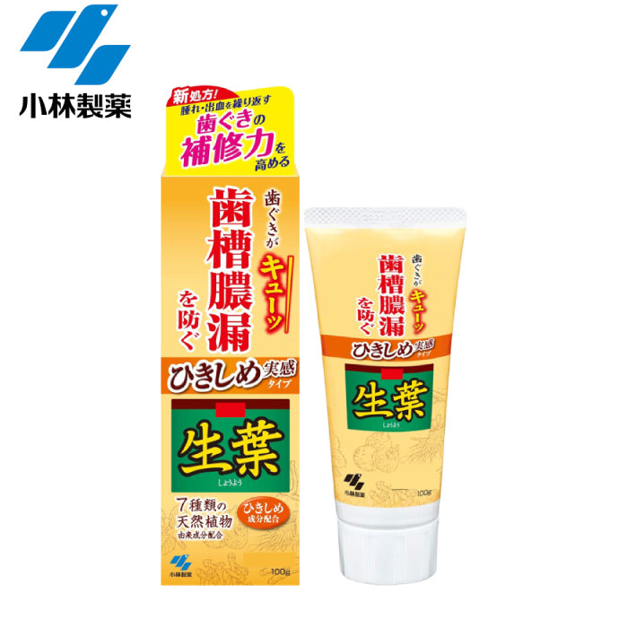 小林製藥 歯槽膿漏 草本生葉護齦牙膏