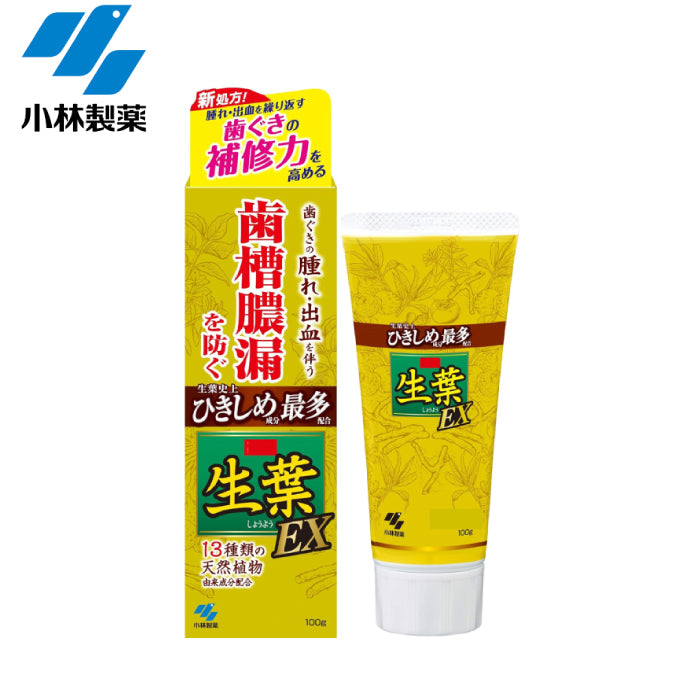 小林製藥 歯槽膿漏 草本生葉護齦牙膏