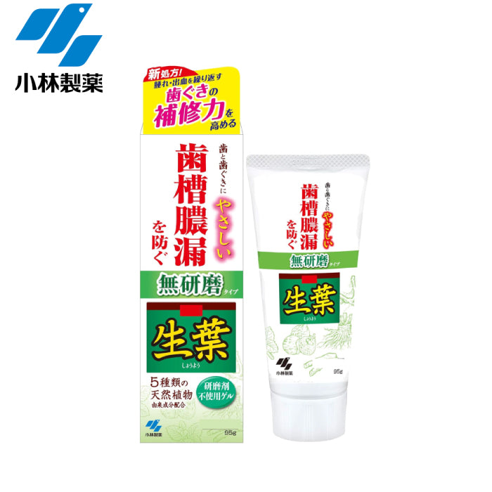 小林製藥 歯槽膿漏 草本生葉護齦牙膏
