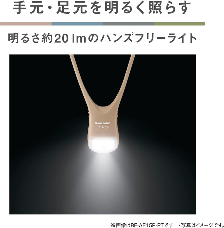 Panasonic 國際牌 BF-AF15P LED頸式掛燈