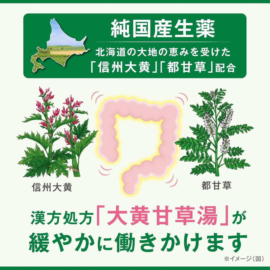 合利他命製薬 大地的漢方便秘薬