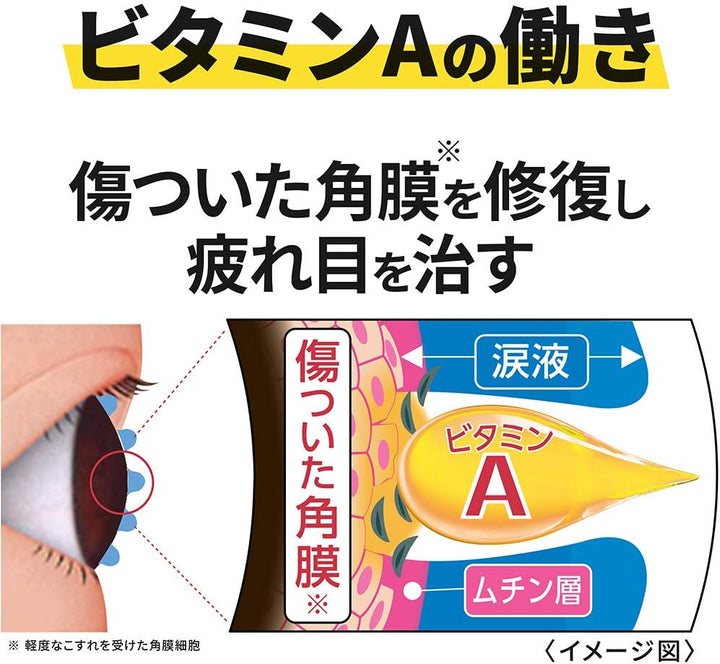 LION 獅王 Smile The Medical DX 眼藥水 15mL (乾燥・疲勞・搔癢)