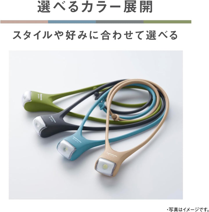 Panasonic 國際牌 BF-AF15P LED頸式掛燈