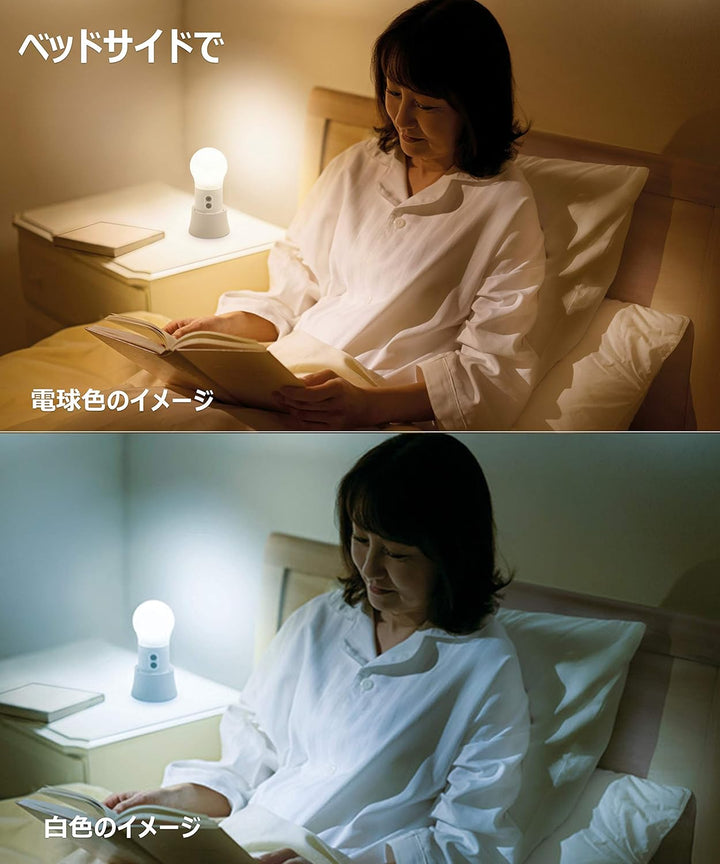 Panasonic 國際牌 LED燈球 BF-AL06N