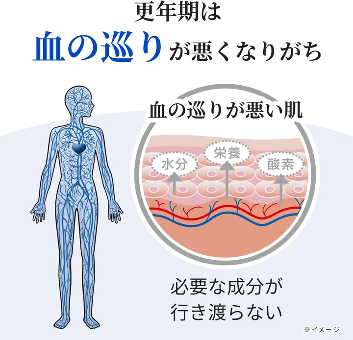 小林製藥 命之母 Meguribi a 168錠 [14日份]