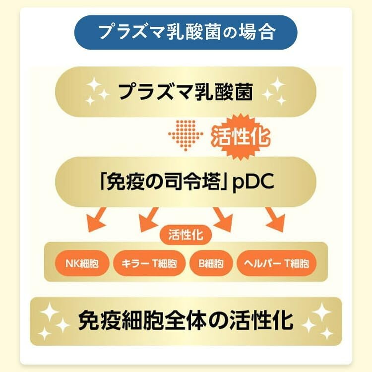 FANCL 芳珂 免疫對策 30日份