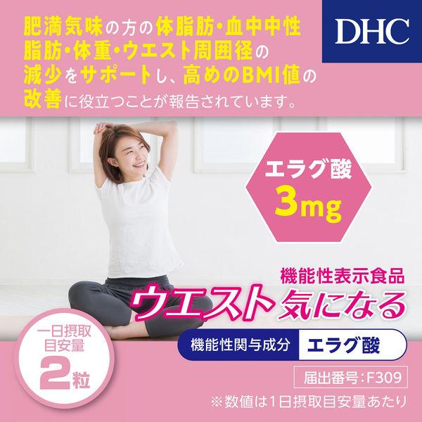 DHC 纖水元素 輕盈對策 內脂丸 30日/60日份