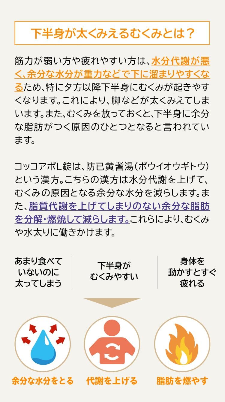 Kracie製藥 Cocoapo L錠 漢方防己黄耆湯 312錠