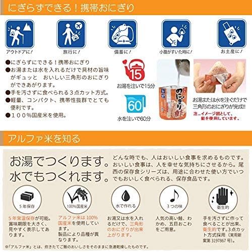 Onisi 尾西食品 乾燥飯