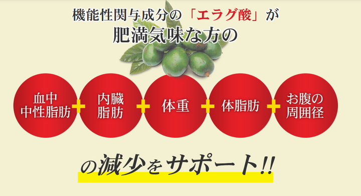 MDC Mata plus Waist MAX 內臟脂肪 鞣花酸錠