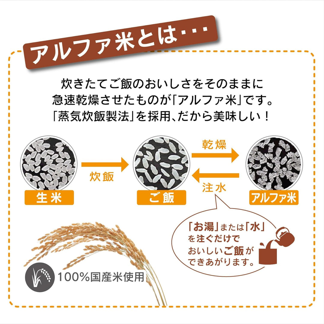 Onisi 尾西 即食飯 12種類