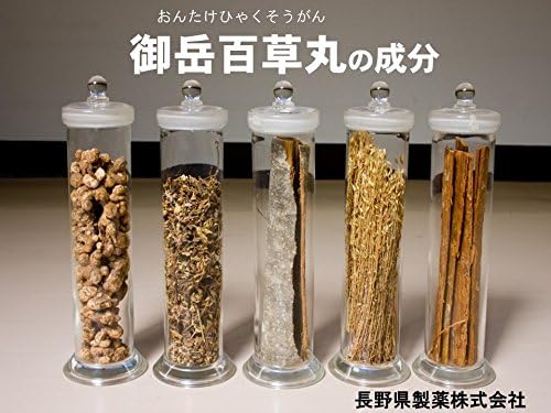 長野県製薬 御岳百草丸 罐裝