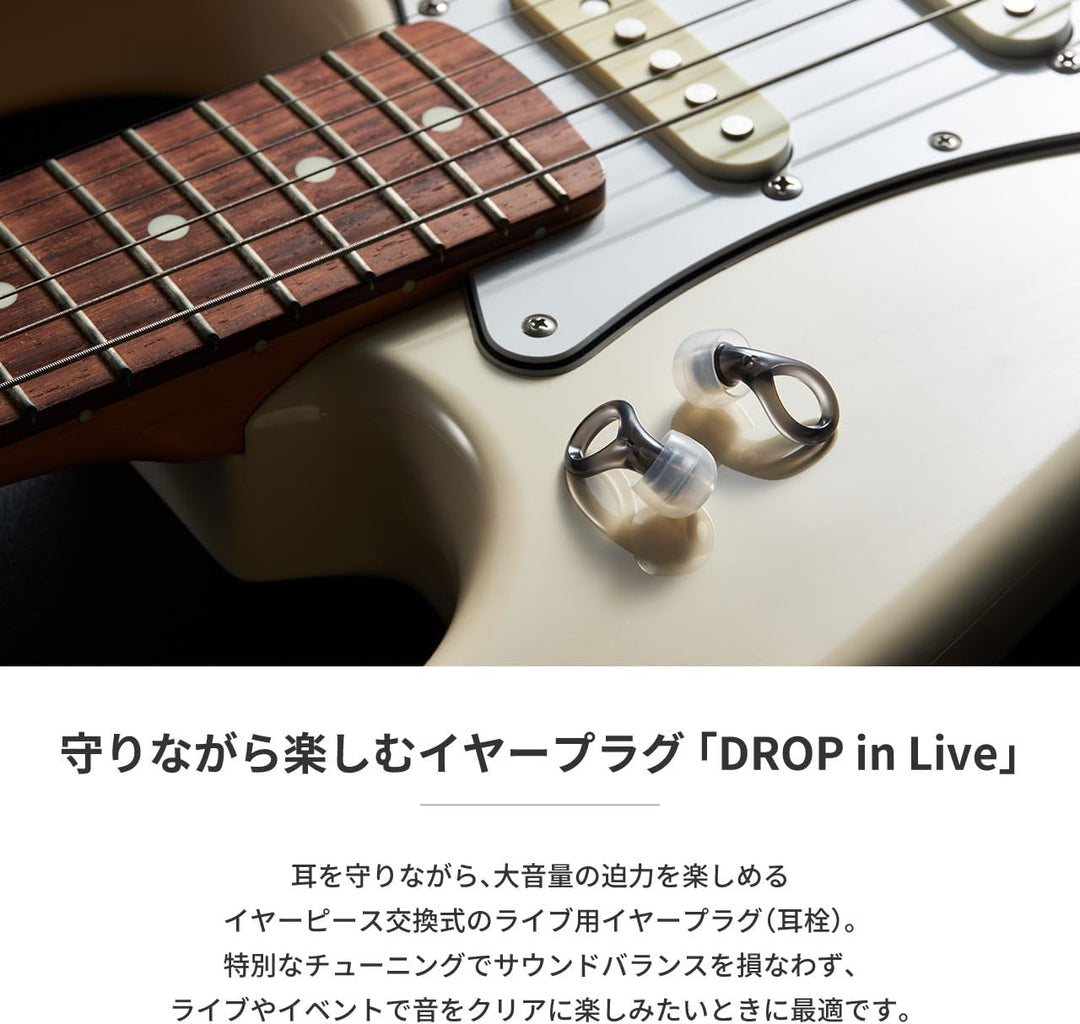 radius 演唱會用耳塞 EP-D20