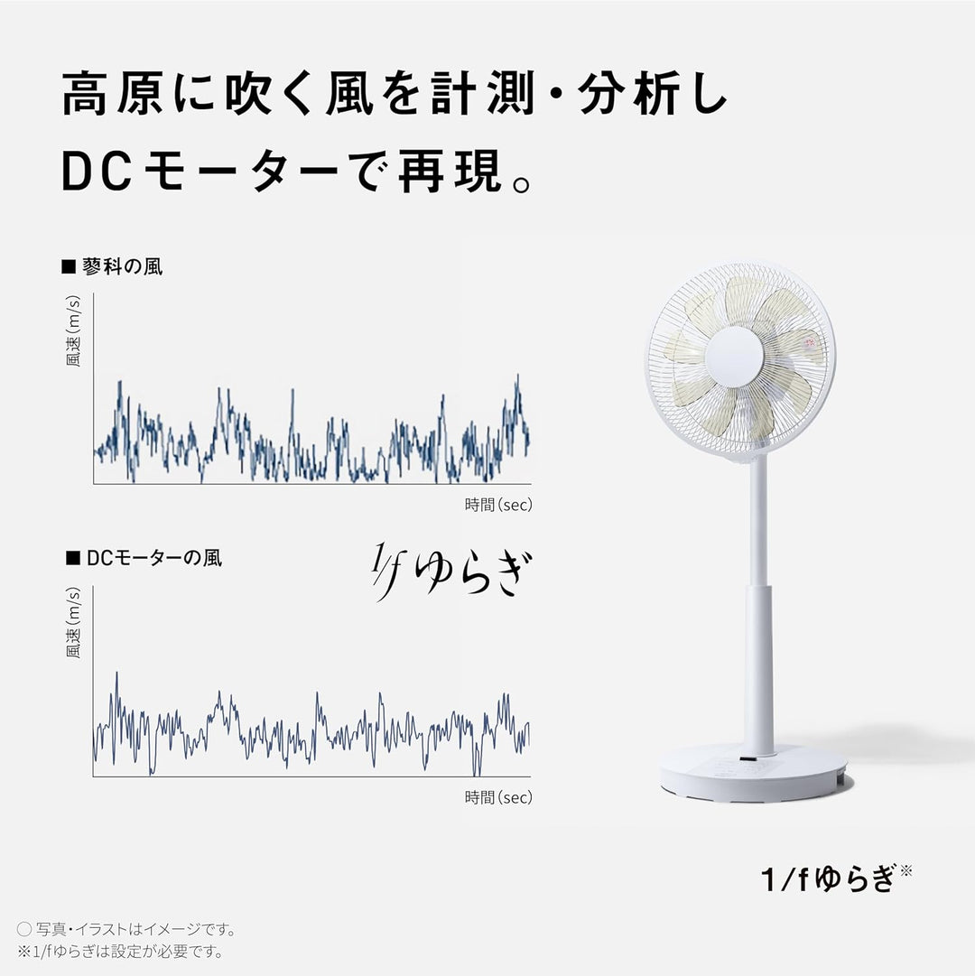 Panasonic 國際牌 DC直立式風扇 F-C339B