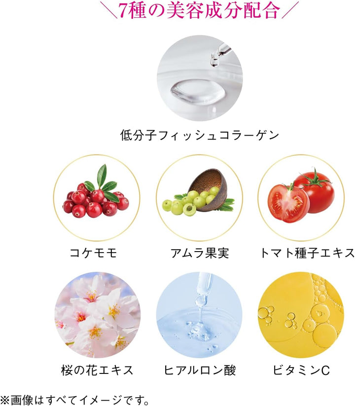 SHISEIDO 資生堂 The Collagen 膠原蛋白粉 126g