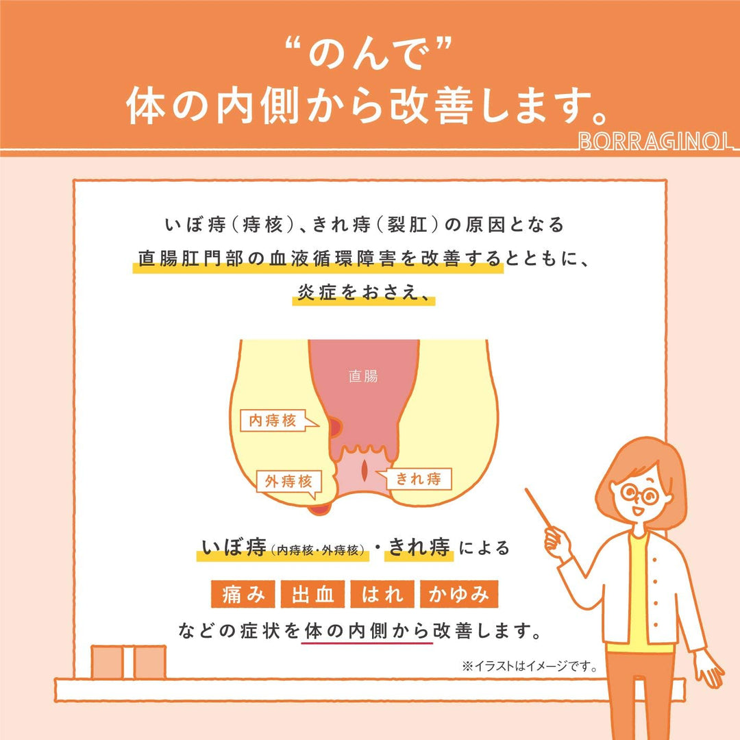天藤製藥 內服 保能痔 Borraginol EP系列 痔瘡藥 16包入