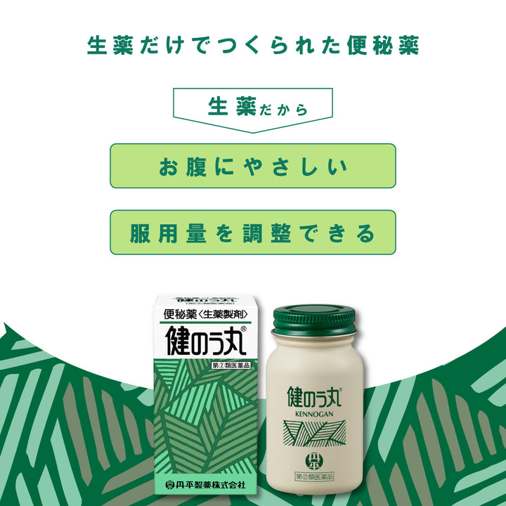 丹平製薬 通便丸便秘藥 1200粒