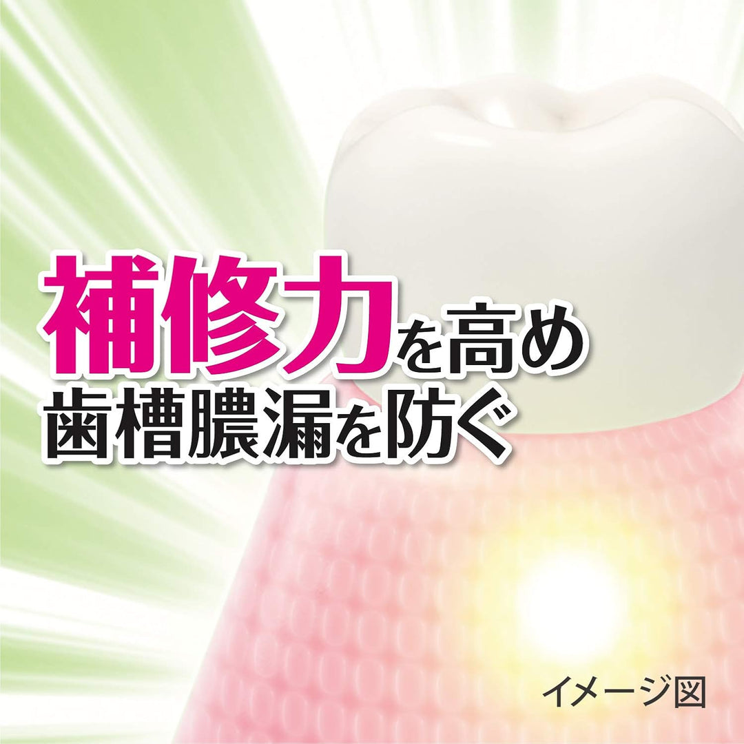 小林製藥 歯槽膿漏 草本生葉護齦牙膏