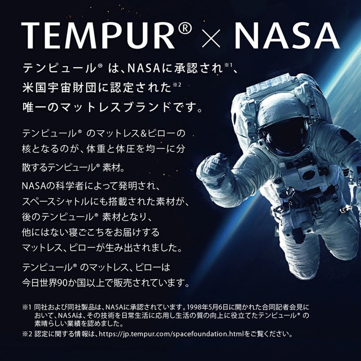 TEMPUR 丹普 旅行靠墊 TRANSIT LUMBAR SUPPORT
