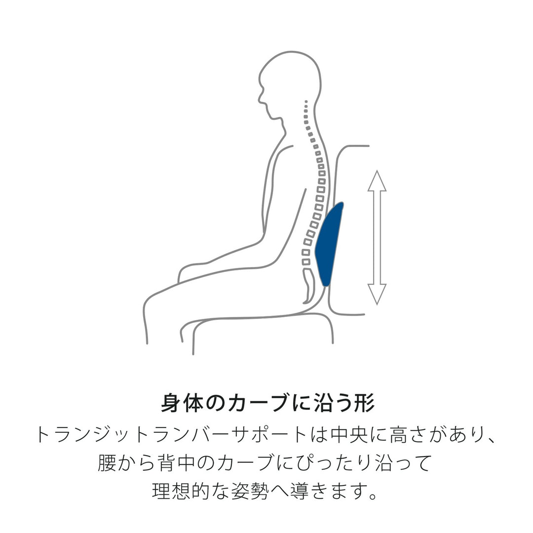 TEMPUR 丹普 旅行靠墊 TRANSIT LUMBAR SUPPORT