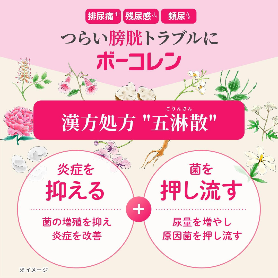小林製藥 BOUKOREN 排尿痛 殘尿感 頻尿 漢方藥 48錠