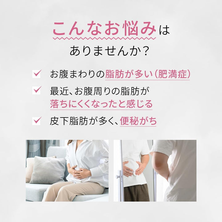 ROHTO  樂敦製藥 防風通聖散錠ZII 210錠