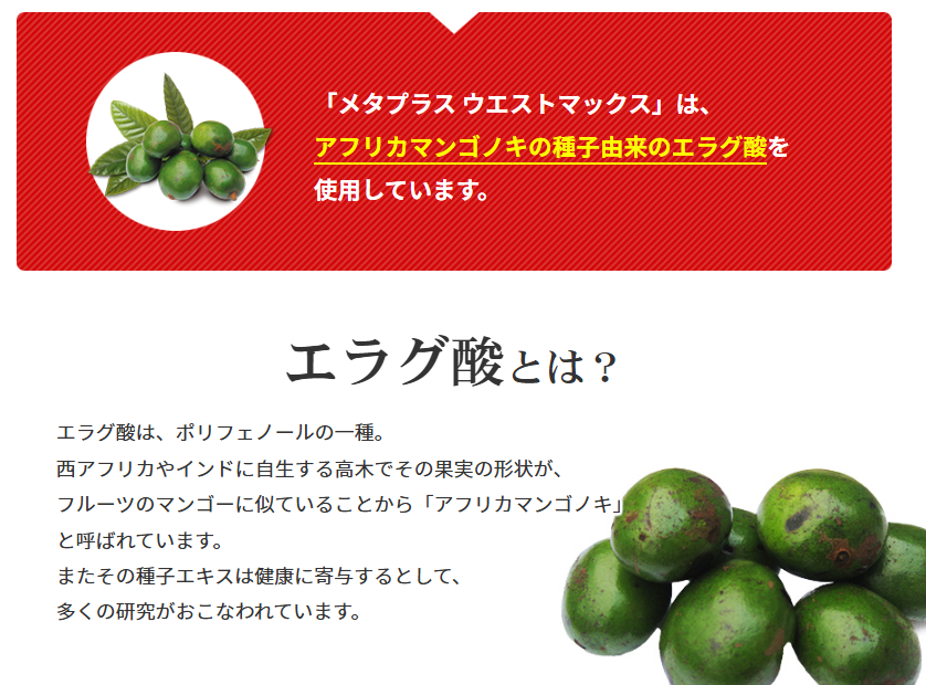 MDC Mata plus Waist MAX 內臟脂肪 鞣花酸錠