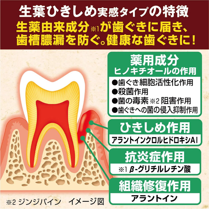 小林製藥 歯槽膿漏 草本生葉護齦牙膏
