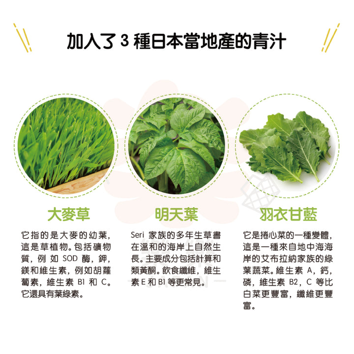 佐藤藥品 植物酵素 青汁果凍 30入