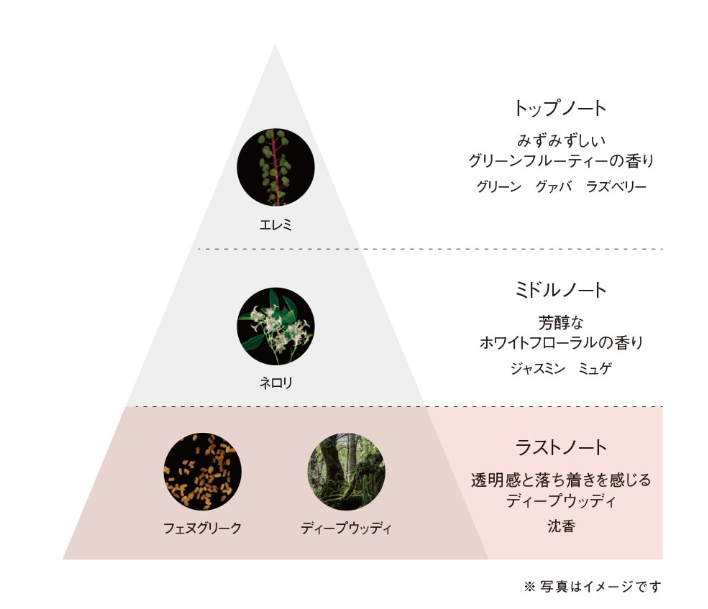 POLA B.A 全能緊緻眼霜N 26g