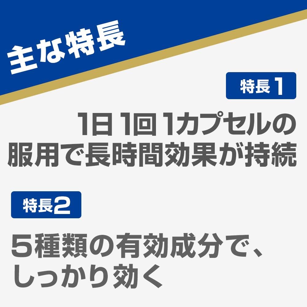 白兔牌 SS製藥 Aneron 成人暈車藥 10粒