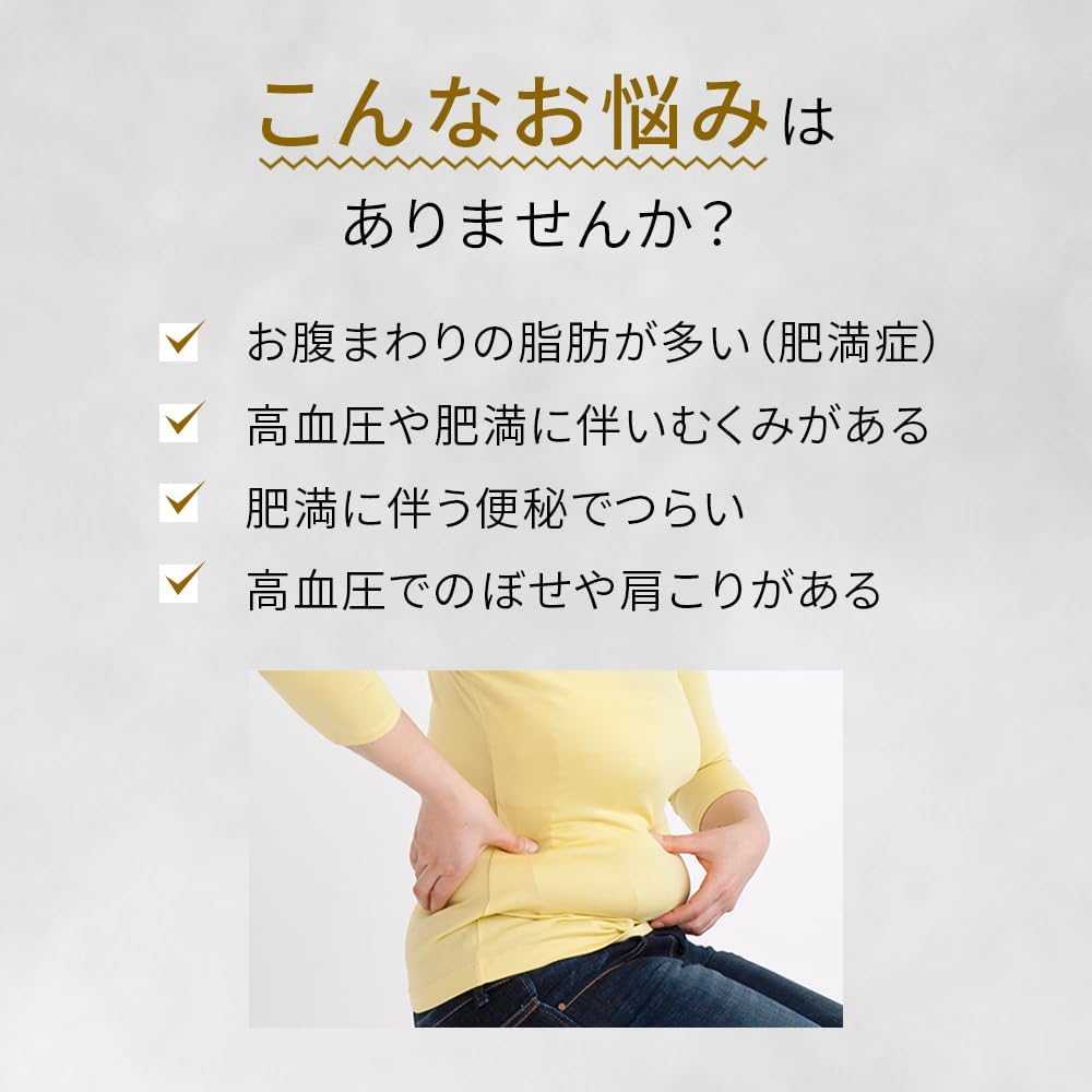 ROHTO  樂敦製藥 防風通聖散錠T 224錠