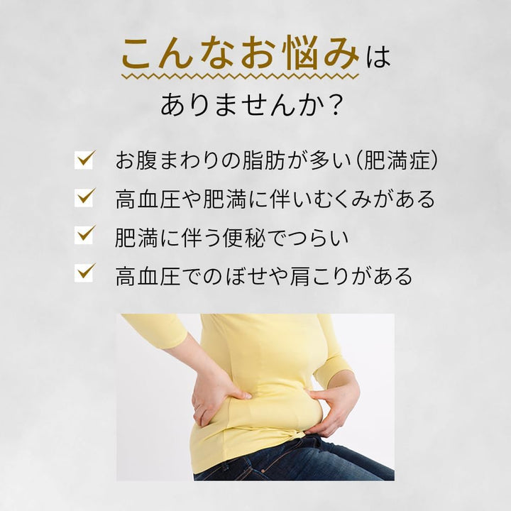 ROHTO  樂敦製藥 防風通聖散錠T 224錠