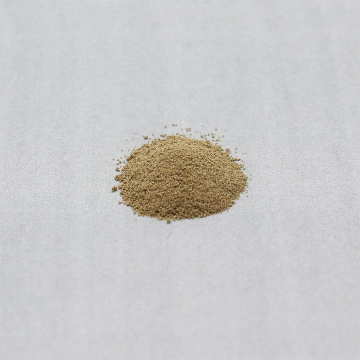 ROHTO 樂敦製藥 Pansiron Active55 顆粒粉 錠狀胃藥