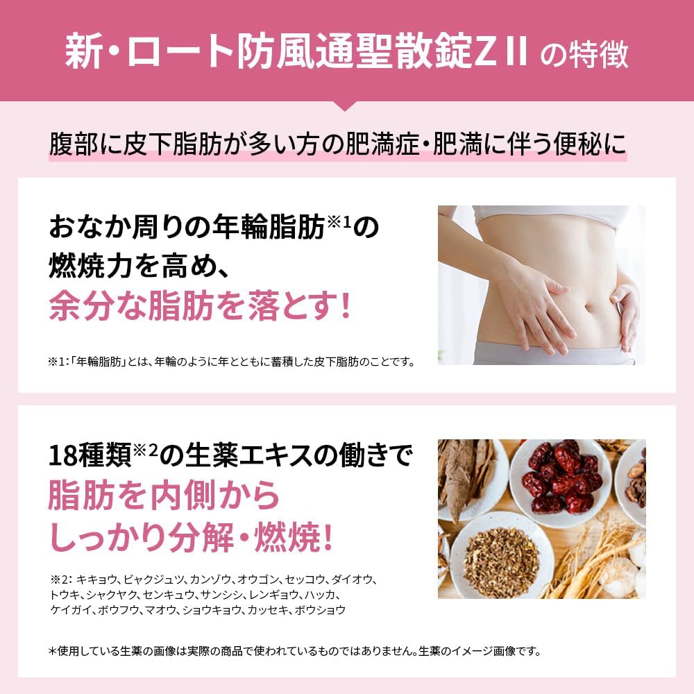 ROHTO  樂敦製藥 防風通聖散錠ZII 210錠