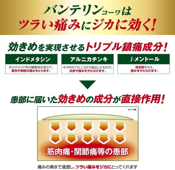 KOWA 興和 Vantelin 萬特力 痠痛凝膠α