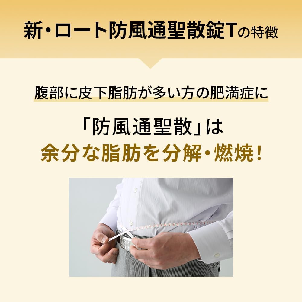 ROHTO  樂敦製藥 防風通聖散錠T 224錠